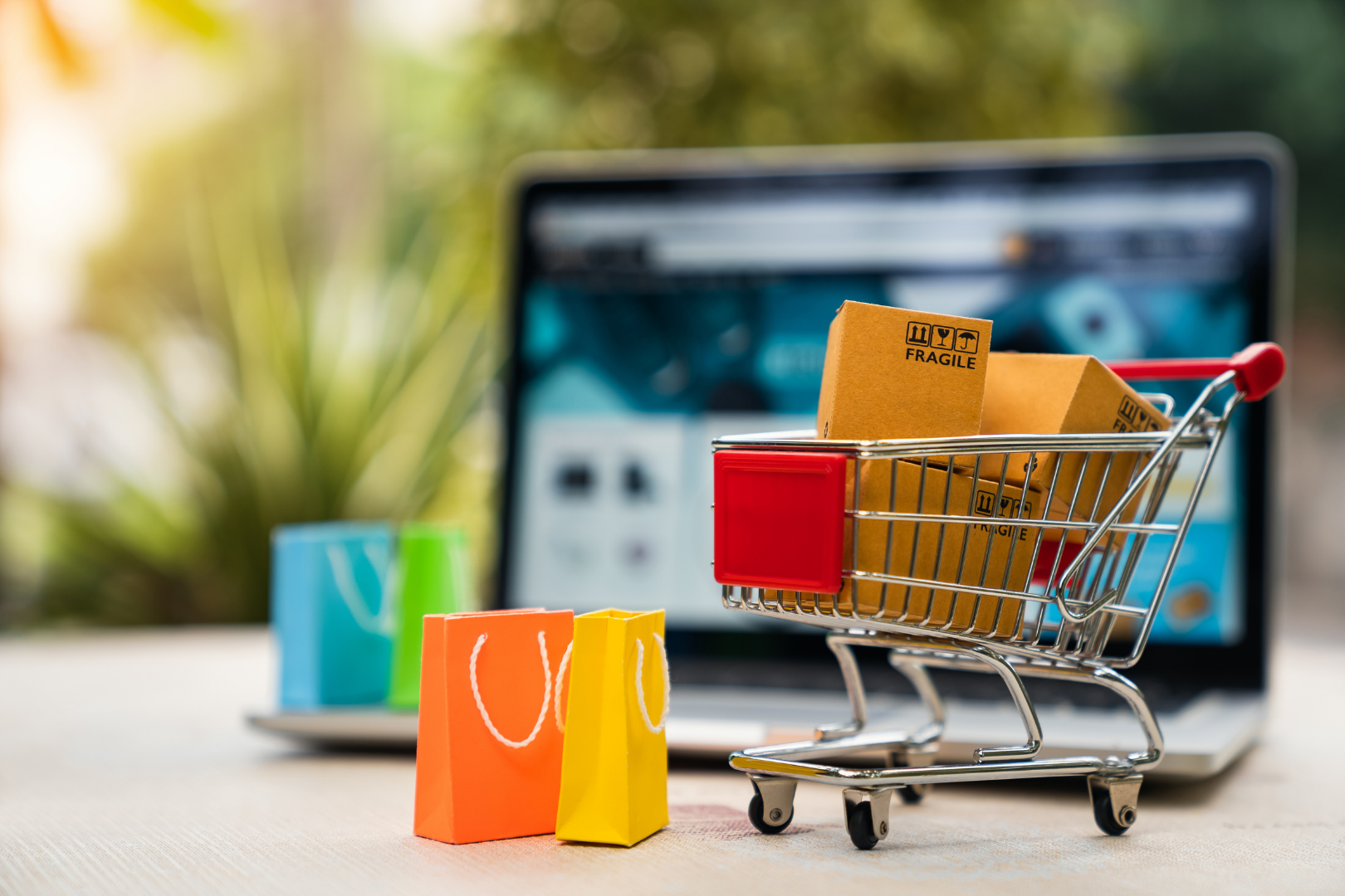comparaison site vitrine et boutique en ligne